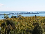 Mudbrick views